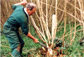 Cutting the wood correctly